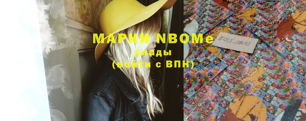 стаф Липки