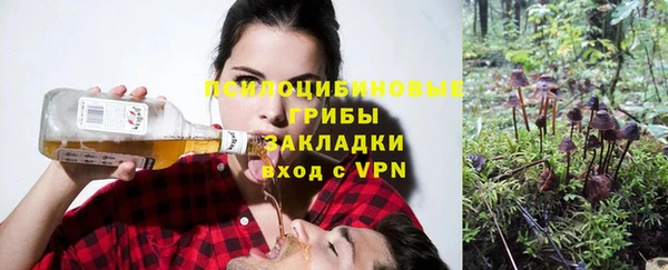 стаф Липки