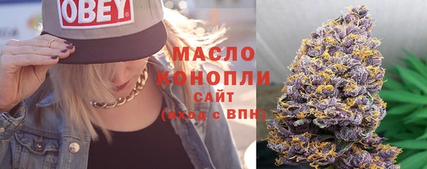 стаф Липки
