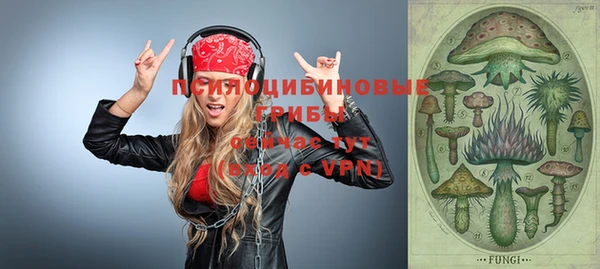 стаф Липки