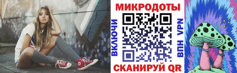Галлюциногенные грибы Psilocybe  Тайга 